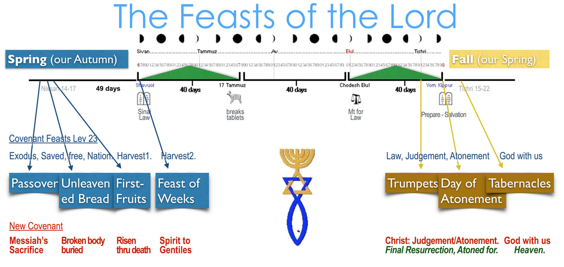The Biblical Feasts